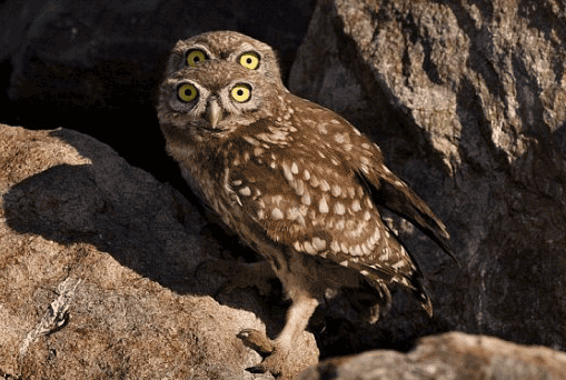 Click image for larger version

Name:	1_10.gif
Views:	1
Size:	93.7 KB
ID:	1358154