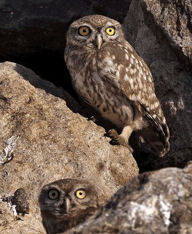 Click image for larger version

Name:	3_7.gif
Views:	1
Size:	109.1 KB
ID:	1358155