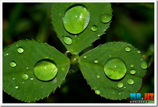 Click image for larger version

Name:	hi_thumb.jpg
Views:	1
Size:	60.0 KB
ID:	1300613
