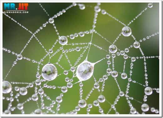 Click image for larger version

Name:	***_thumb.jpg
Views:	1
Size:	63.0 KB
ID:	1300644