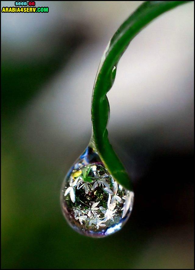 Click image for larger version

Name:	w9aw574dkkwnsb1xxifn.jpg
Views:	1
Size:	54.7 KB
ID:	1300645