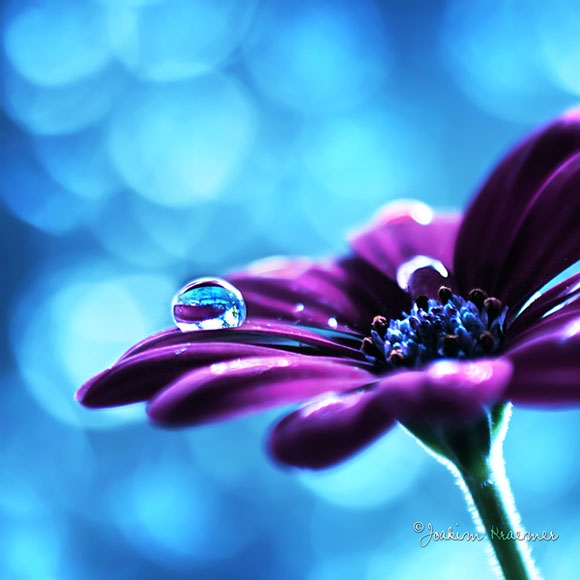 Click image for larger version

Name:	Time_After_Time_by_Healzo.jpg
Views:	1
Size:	151.7 KB
ID:	1300646
