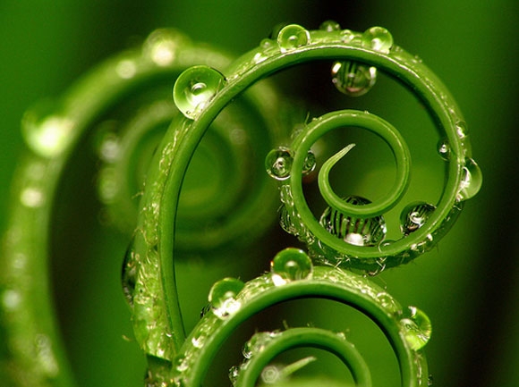 Click image for larger version

Name:	Spirals.jpg
Views:	1
Size:	150.4 KB
ID:	1300651