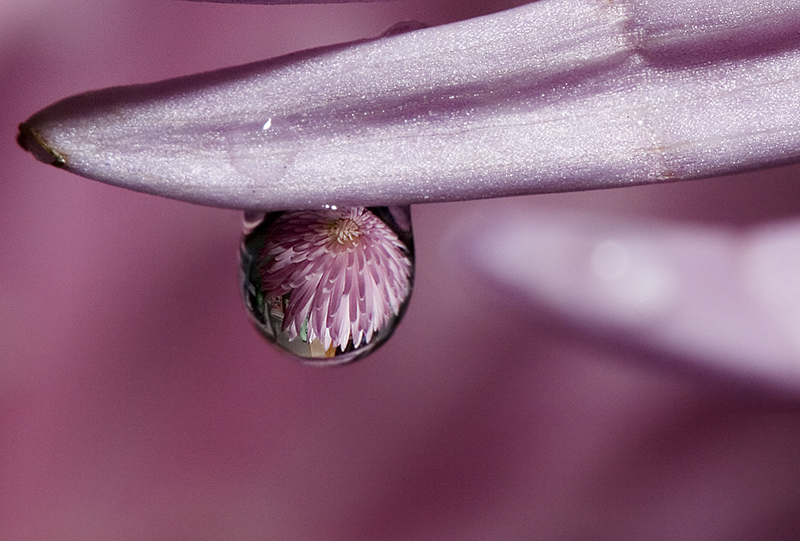 Click image for larger version

Name:	singledrop11mb.jpg
Views:	1
Size:	239.5 KB
ID:	1300652
