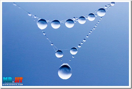 Click image for larger version

Name:	neckles_thumb.jpg
Views:	1
Size:	42.5 KB
ID:	1300661