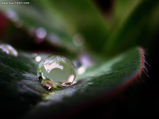 Click image for larger version

Name:	f8c0e450cc400fe0e65f3498630f293e.jpg
Views:	1
Size:	103.9 KB
ID:	1300705