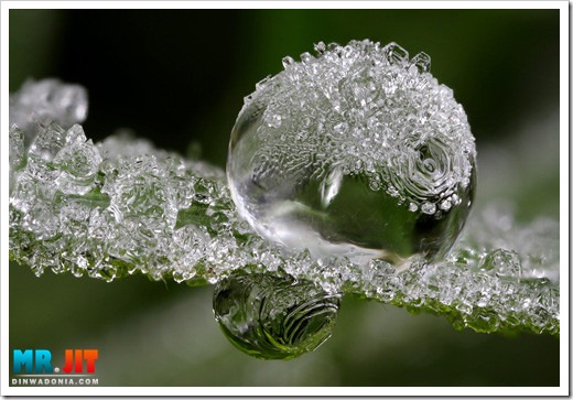 Click image for larger version

Name:	frozen_thumb.jpg
Views:	1
Size:	64.5 KB
ID:	1300706