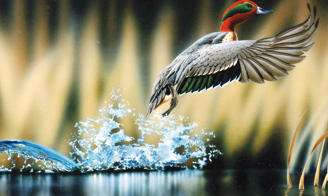 Click image for larger version

Name:	0,,15595231_1,00.jpg
Views:	1
Size:	291.5 KB
ID:	1358233