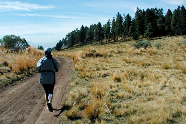 Click image for larger version

Name:	0,,5316175_1,00.jpg
Views:	1
Size:	133.8 KB
ID:	1358236