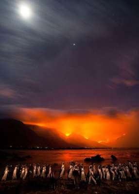 Click image for larger version

Name:	16.jpg
Views:	1
Size:	8.6 KB
ID:	1358273