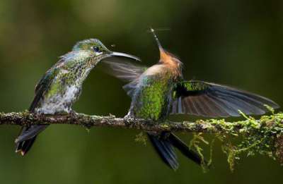 Click image for larger version

Name:	12.jpg
Views:	1
Size:	11.0 KB
ID:	1358277
