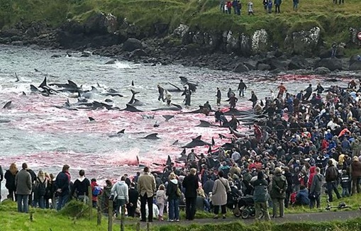 Click image for larger version

Name:	1-.jpg
Views:	1
Size:	95.4 KB
ID:	1358441