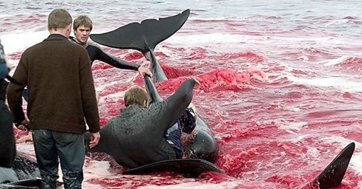 Click image for larger version

Name:	1-.jpg
Views:	1
Size:	65.8 KB
ID:	1358443