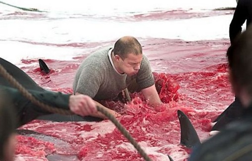 Click image for larger version

Name:	5-.jpg
Views:	1
Size:	55.0 KB
ID:	1358453