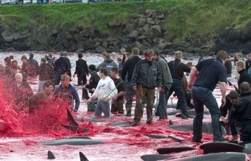 Click image for larger version

Name:	6-.jpg
Views:	1
Size:	68.4 KB
ID:	1358454