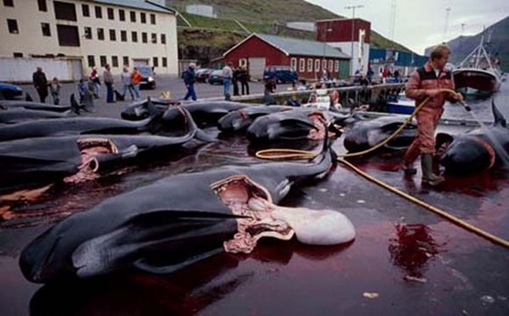 Click image for larger version

Name:	7-.jpg
Views:	1
Size:	56.8 KB
ID:	1358455