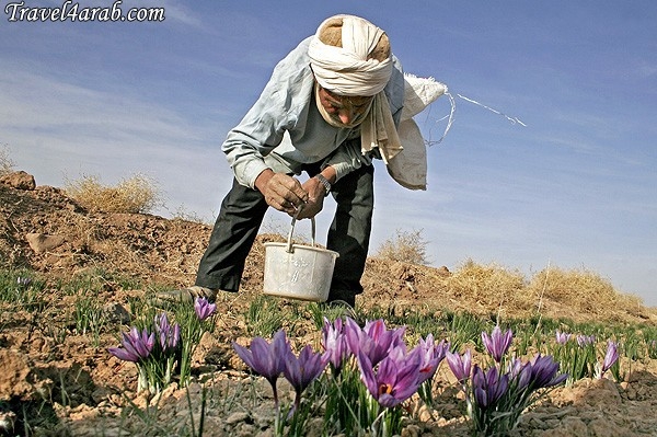Click image for larger version

Name:	1.JPG
Views:	1
Size:	229.1 KB
ID:	1358602