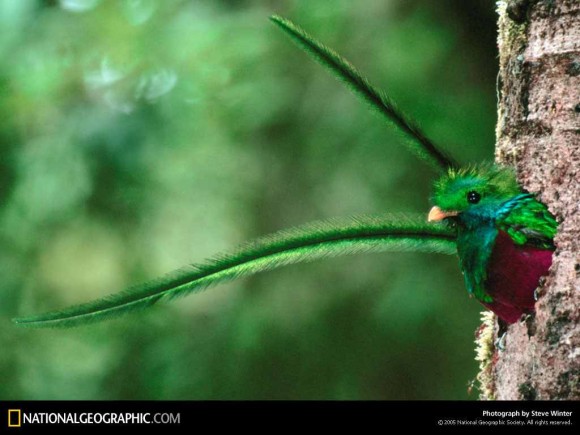 Click image for larger version

Name:	3.jpg
Views:	1
Size:	56.9 KB
ID:	1358690