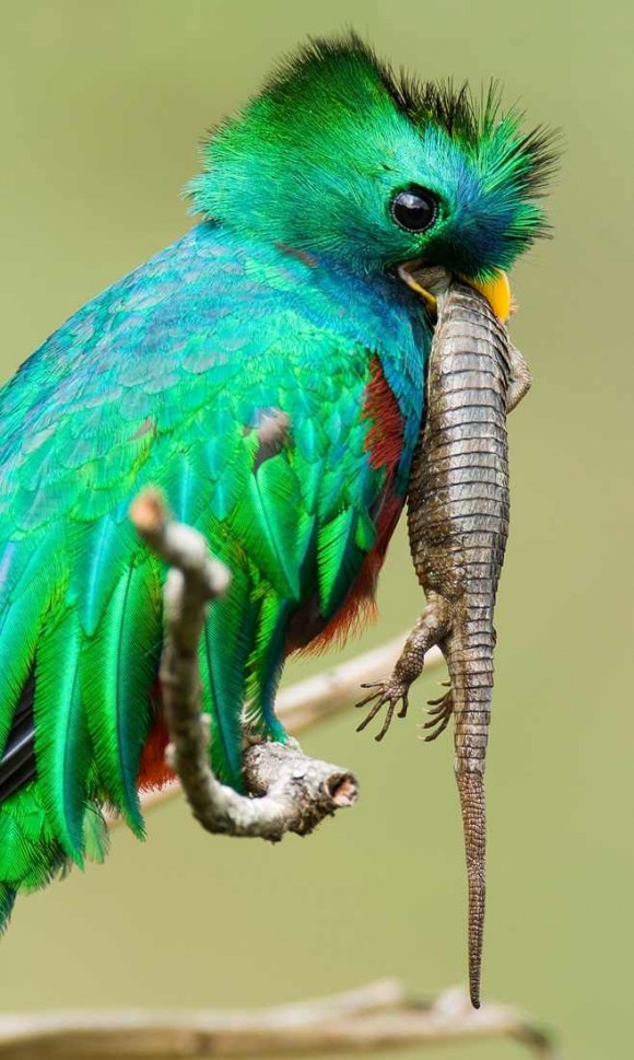 Click image for larger version

Name:	2.jpg
Views:	1
Size:	122.9 KB
ID:	1358691