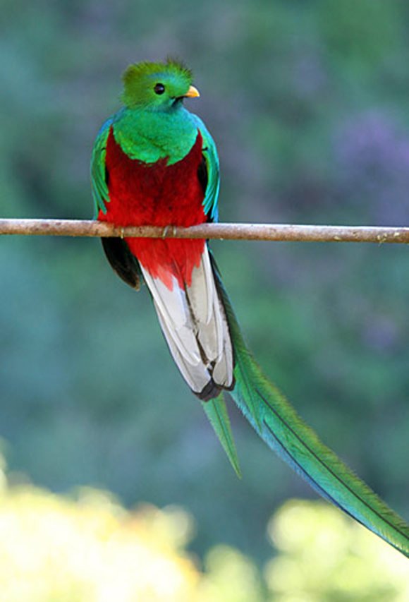 Click image for larger version

Name:	1.jpg
Views:	1
Size:	229.1 KB
ID:	1358692