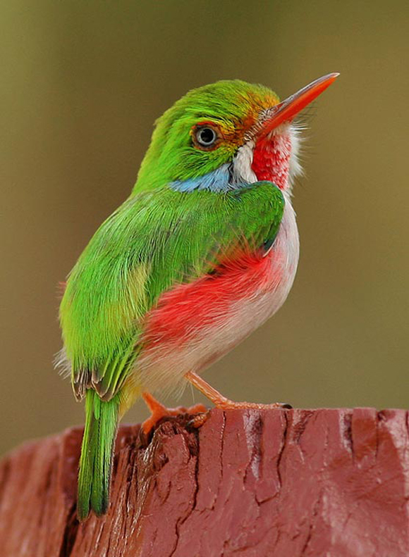 Click image for larger version

Name:	11.jpg
Views:	1
Size:	295.7 KB
ID:	1358694