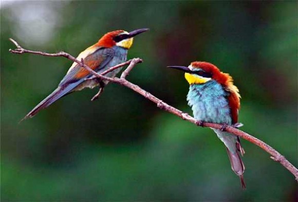 Click image for larger version

Name:	5.jpg
Views:	1
Size:	39.6 KB
ID:	1301434