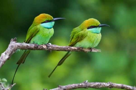 Click image for larger version

Name:	3.jpg
Views:	1
Size:	38.4 KB
ID:	1301436