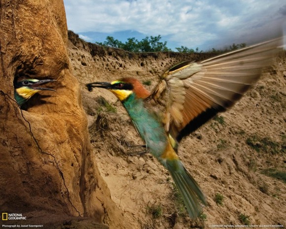 Click image for larger version

Name:	2.jpg
Views:	1
Size:	102.0 KB
ID:	1301437