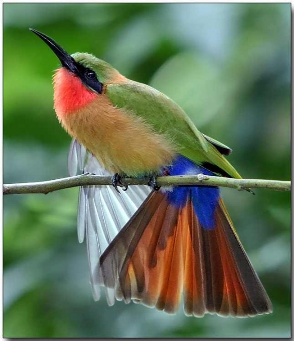 Click image for larger version

Name:	104.jpg
Views:	1
Size:	74.7 KB
ID:	1301519