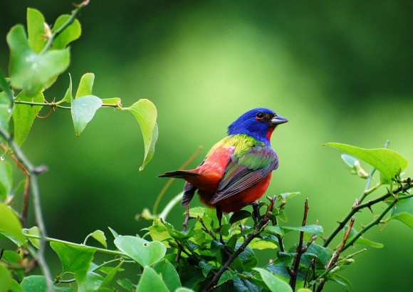 Click image for larger version

Name:	7.jpg
Views:	1
Size:	62.0 KB
ID:	1301527