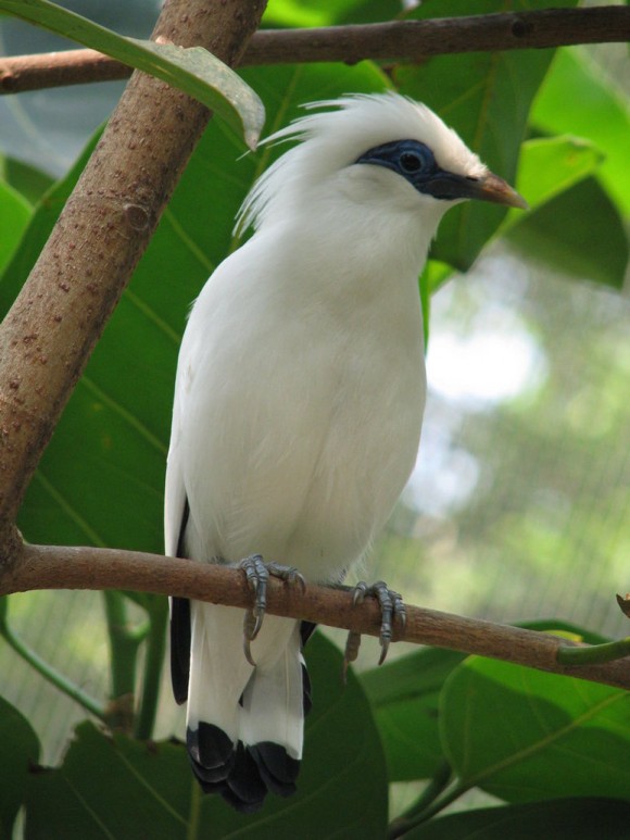 Click image for larger version

Name:	4.jpg
Views:	1
Size:	81.7 KB
ID:	1301530