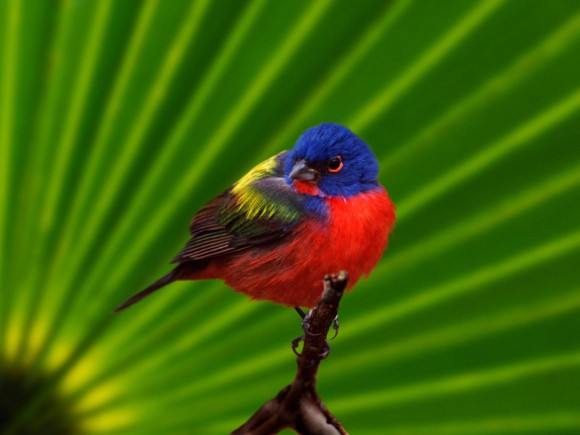 Click image for larger version

Name:	12.jpg
Views:	1
Size:	40.6 KB
ID:	1301535