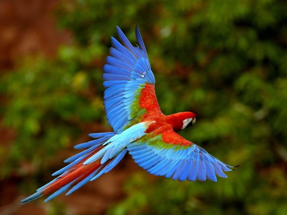 Click image for larger version

Name:	6.jpg
Views:	1
Size:	53.3 KB
ID:	1301561