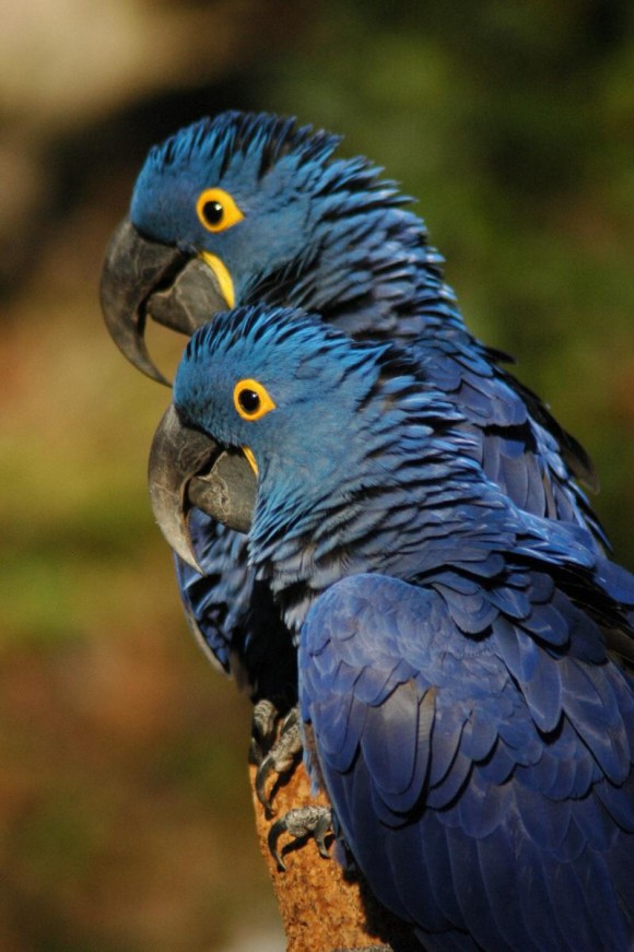 Click image for larger version

Name:	5.jpg
Views:	1
Size:	103.2 KB
ID:	1301562