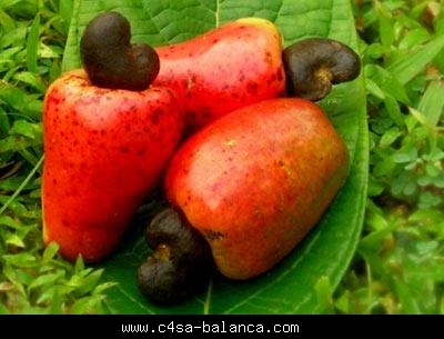 Click image for larger version

Name:	113918khleeg.imgcache.jpg
Views:	1
Size:	79.6 KB
ID:	1301762