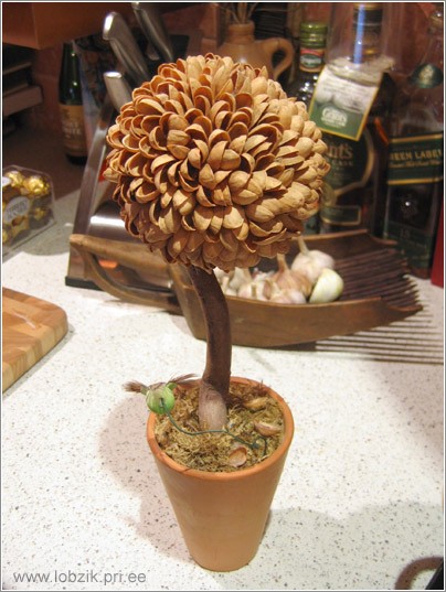 Click image for larger version

Name:	pistachio_tree_01.jpg
Views:	1
Size:	66.1 KB
ID:	1301769