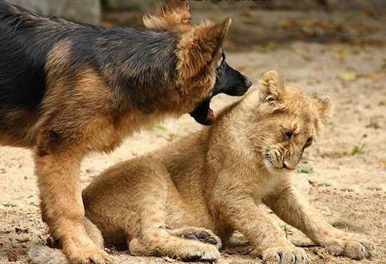 Click image for larger version

Name:	asdekaa4.jpg
Views:	1
Size:	230.5 KB
ID:	1359029