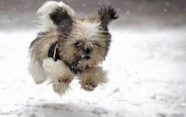 Click image for larger version

Name:	asdekaa3.jpg
Views:	1
Size:	157.5 KB
ID:	1359033