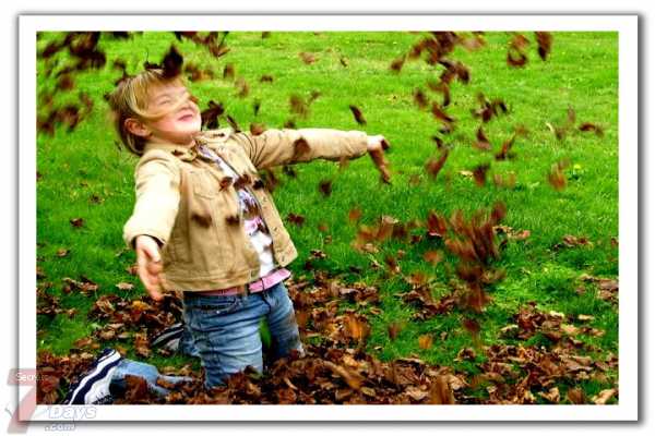 Click image for larger version

Name:	d473e3d967.jpg
Views:	1
Size:	40.0 KB
ID:	1359073