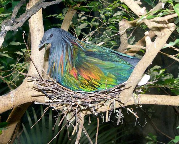 Click image for larger version

Name:	2.jpg
Views:	1
Size:	117.2 KB
ID:	1301930