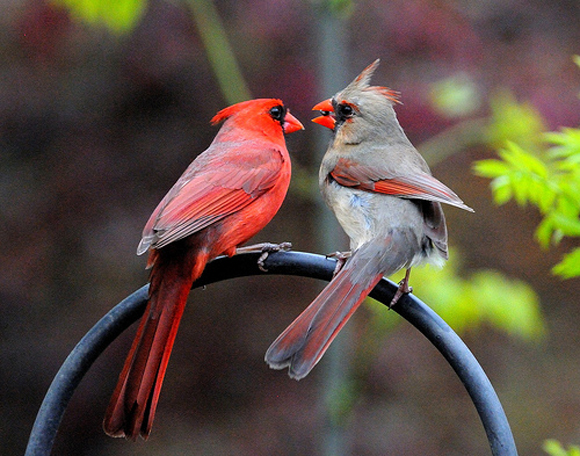 Click image for larger version

Name:	10.jpg
Views:	1
Size:	271.4 KB
ID:	1301939