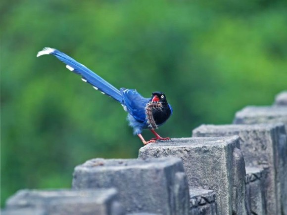 Click image for larger version

Name:	5.jpg
Views:	1
Size:	42.4 KB
ID:	1302021