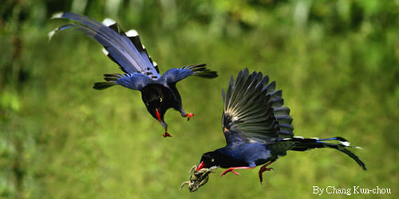 Click image for larger version

Name:	4.jpg
Views:	1
Size:	126.7 KB
ID:	1302022