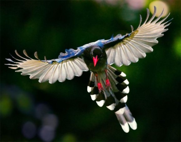 Click image for larger version

Name:	1.jpg
Views:	1
Size:	43.9 KB
ID:	1302025