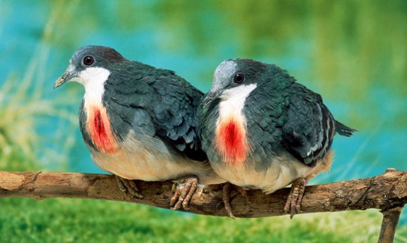 Click image for larger version

Name:	7.jpg
Views:	1
Size:	52.3 KB
ID:	1302028