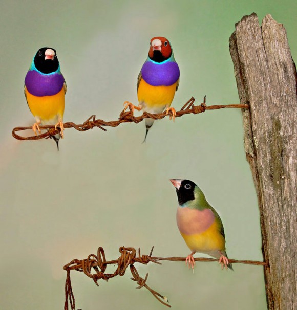 Click image for larger version

Name:	3.jpg
Views:	1
Size:	67.3 KB
ID:	1302032