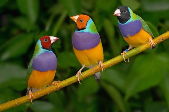 Click image for larger version

Name:	1.jpg
Views:	1
Size:	42.3 KB
ID:	1302034