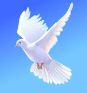 Click image for larger version

Name:	370293_100002279792487_878643760_n.jpg
Views:	1
Size:	7.2 KB
ID:	1359361