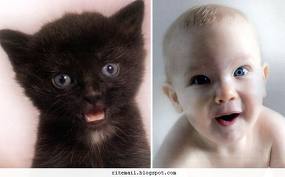 Click image for larger version

Name:	1 3.jpg
Views:	1
Size:	7.1 KB
ID:	1302156