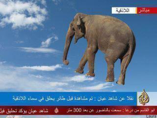 Click image for larger version

Name:	2_636.jpg
Views:	1
Size:	17.2 KB
ID:	1302345